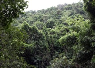 1E0E0D76 C99D 429D 9C4B