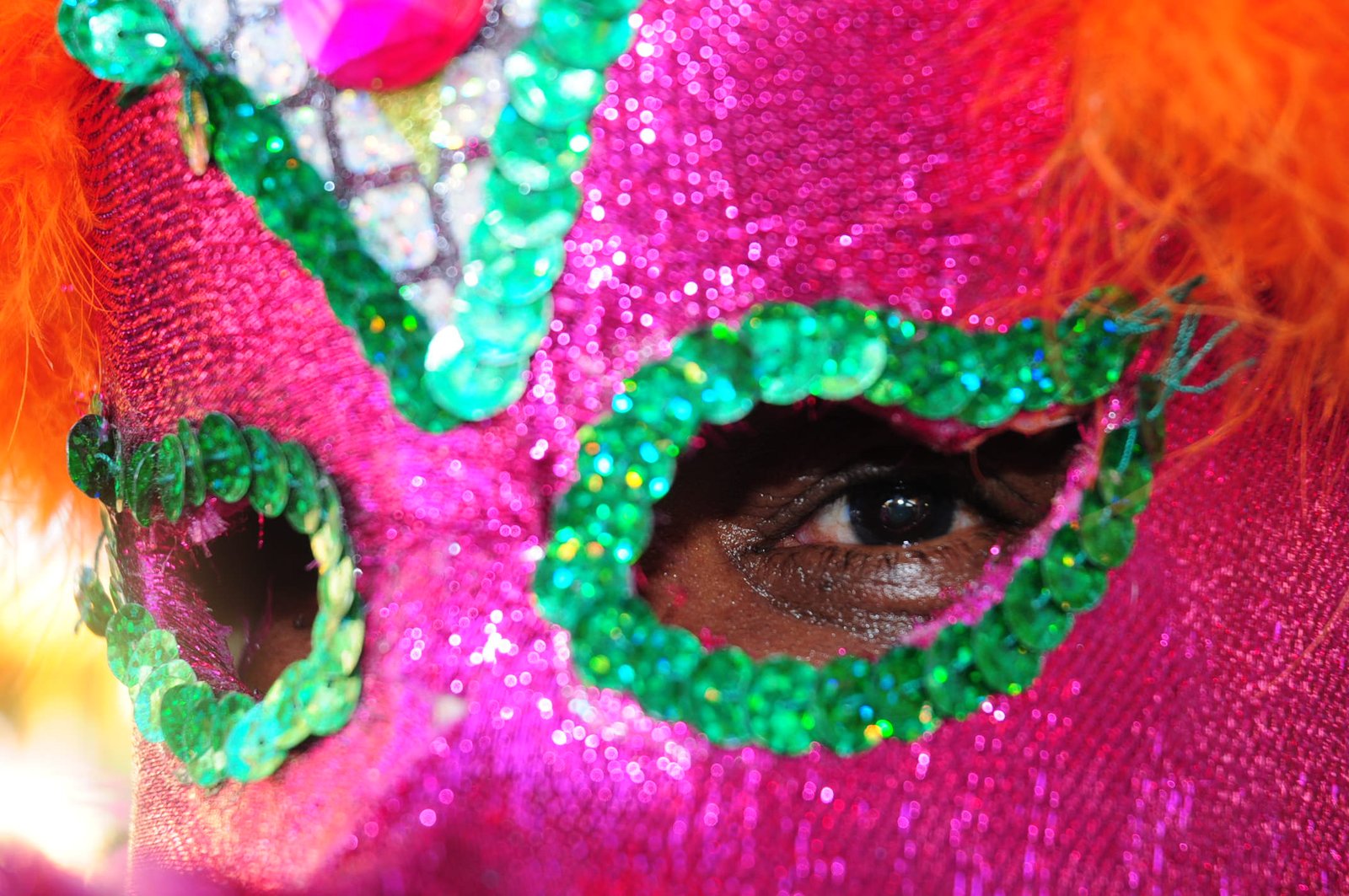 CARNAVAL DE SANTIAGO HOYNOTICIAS.COM 31