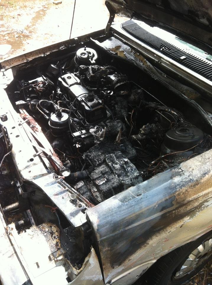 10154579 1524049244488187 55833481 n