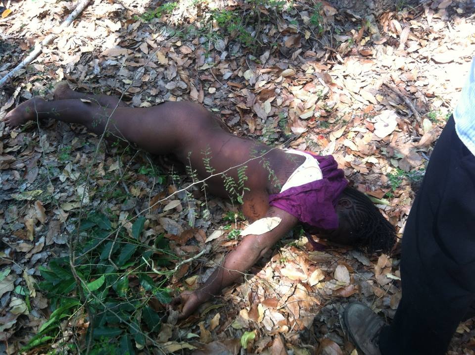 1528022 1514275788798866 633042716 n