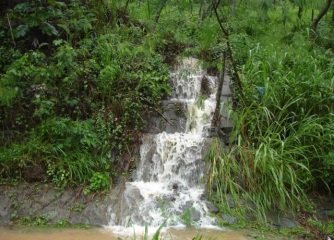 B63E3357 16B2 42D1 87C5