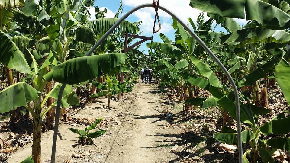 1546215 826894120676375 1721279197042813132 n