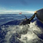 AAD7B6DF B94C 4592 AA33 F7954D725446.jpg 334 240 CROPz5x334y240