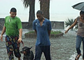 BF33CAE5 C015 4E89 9412