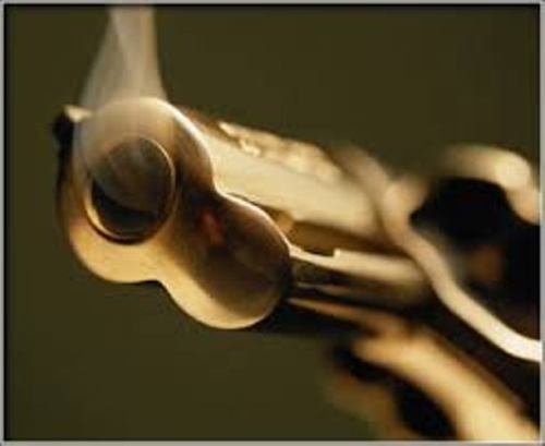 pistola11