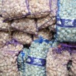 6C5F57BC E785 47E8 B3D6 29C7FFDC77E0.jpg 334 240 CROPz5x334y240