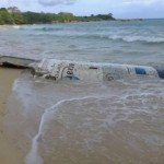 AF90A7F1 46B4 4A41 9ED3 CF719DFFFFF9.jpg 334 240 CROPz5x334y240