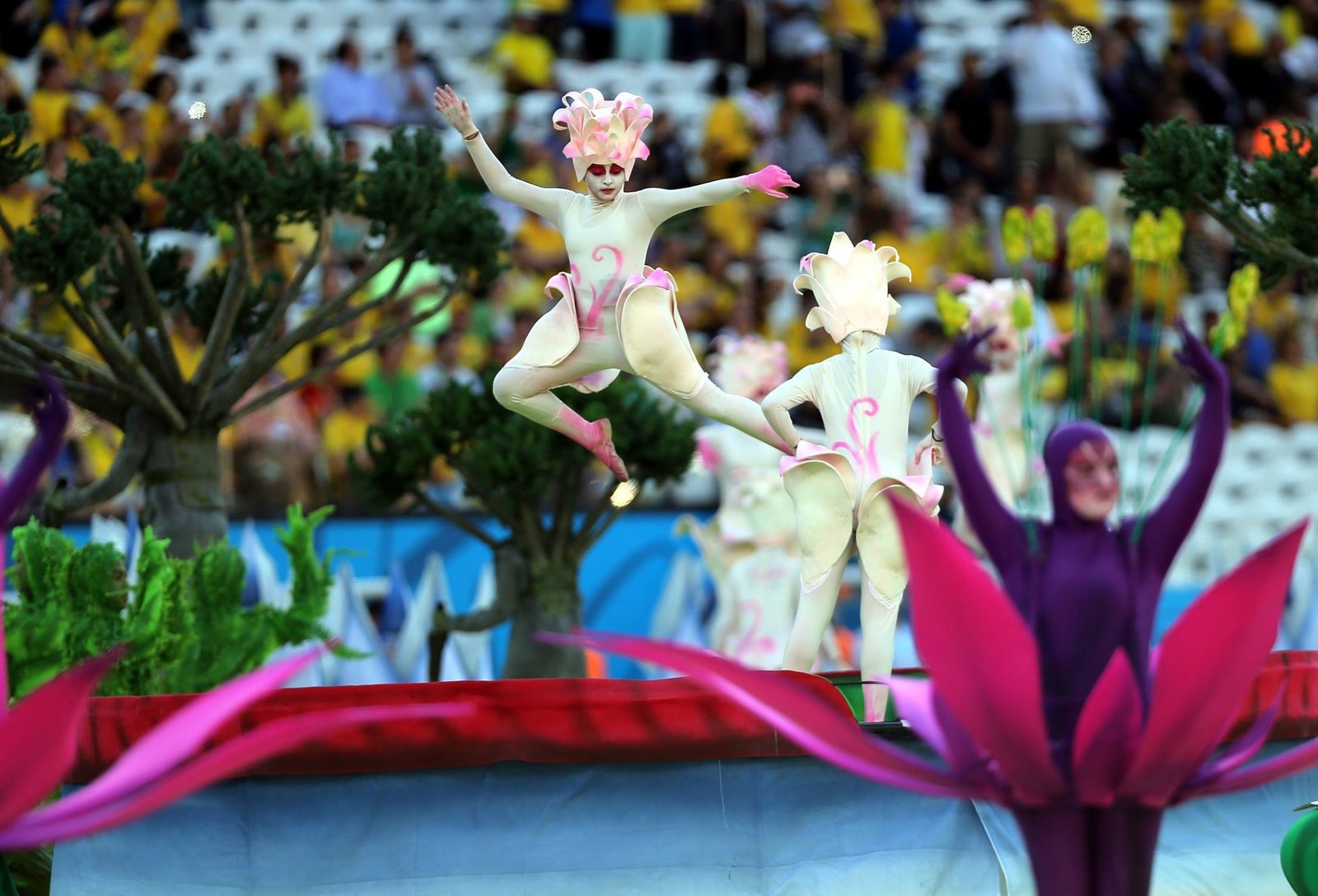 1900738 655162021232728 6994136300359311389 o