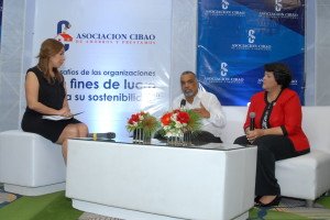 La sostenibilidad, el desafío de las instituciones sin fines de lucro. 4 4