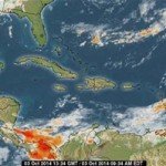 9D6B8573 C23F 43C3 8C3D AB899E396A51.jpg 294 440 CROPz0x294y440