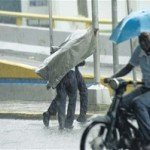 999A8242 F72E 4DFD 83E5 57B01E37C6B1.jpg 294 440 CROPz0x294y440