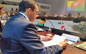 mNAVARRO EN CUMBRE CELAC
