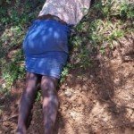 03dd1fbb7329fbdcab8b51fde3bc4234 300x226