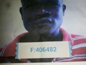 81b9318533da9fac1372d6da0af37e54_300x226