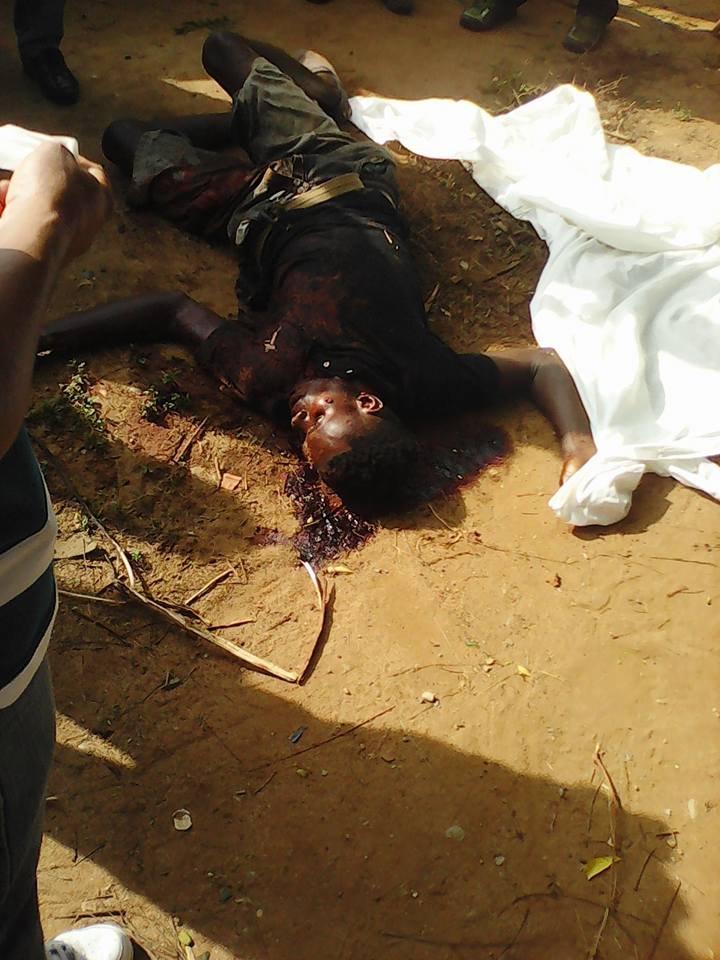 11391687 700532480092425 4268106902343883031 n