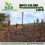 IMG 20150616 WA0017 1