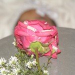 DSC9516