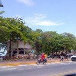 Malecon 1