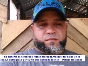 6a4c96027bbc459a21f4f63e02fc0f8b_300x226