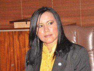 b81ae5813f05e2d45834a482ec1261c0 300x226 1