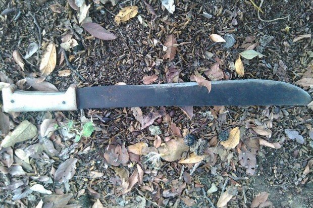 Matan hombre en Moca que supuestamente robaba yuca