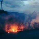 6f8be175f83122efc90a56498d16f7ef 620x412