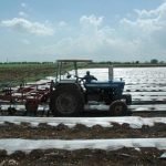 el cea violo decreto que prohibe venta de terrenos