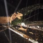 Un hombre herido y el tránsito obstaculizado en la carretera Piedra Blanca-Maimón 1 un hombre herido y el transito obstaculizado en la carretera piedra blanca maimon 1