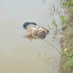 5ec5237de8f44a024c0fd0bb388fd470 620x412