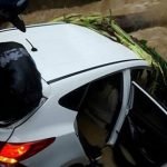 5ed1f56187d9581dd642120c58c52179 620x412