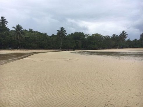 descartan que retiro del mar tenga que ver con tsunami