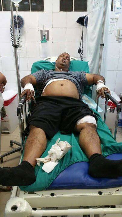 19554516 1555616064513637 7747263604307497757 n