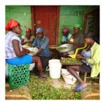 seleccion ClaudiaMartinez