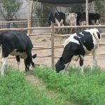 aa28e8b7 a3a9 4313 b878 6cc539a8aab7