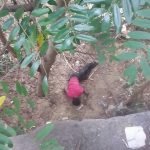 WhatsApp Image 2017 12 18 at 2.03.54 PM