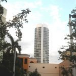 Parte de los atractivos de la ciudad de For Lauderdale 7