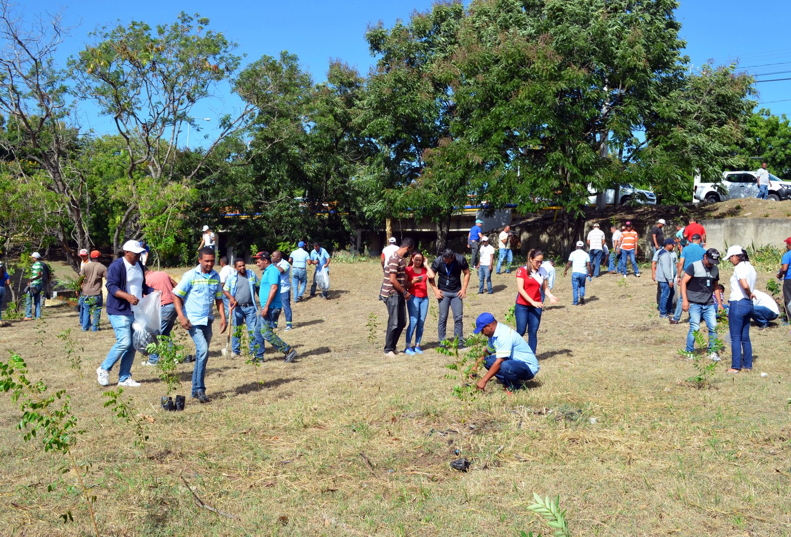 Personal de CORAASAN en la jornada de reforestación por el día del Río Yaque del Norte