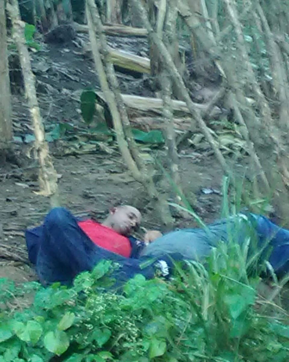 51842314 2563578400325312 4297966347108745216 o