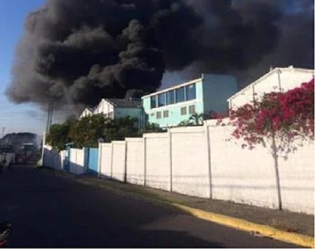 ad3feff4 fuego haina oj