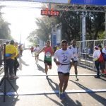 OMD 3626 copia