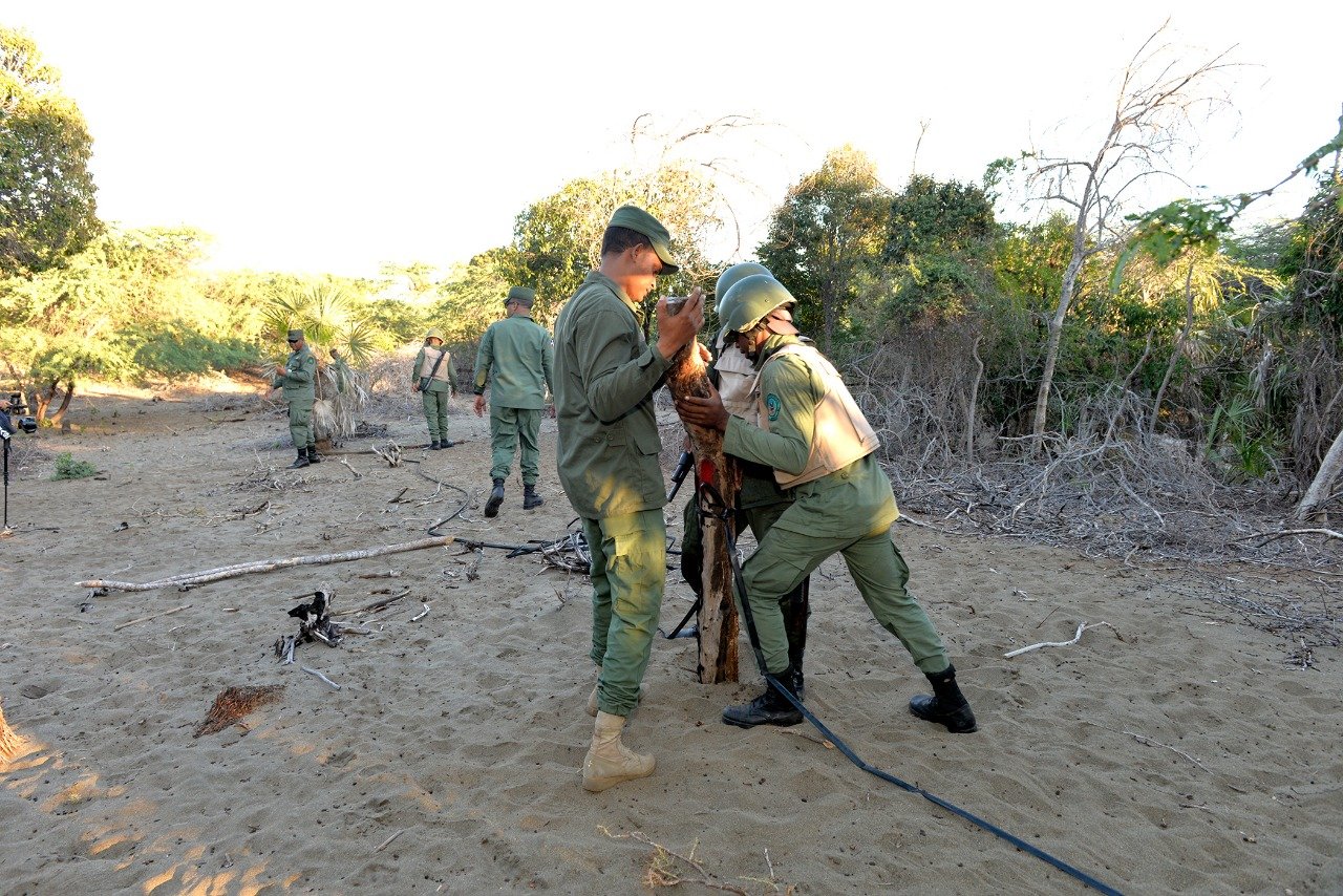 1E9191F4 135C 4756 8791 2E26DC7FDA98