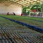 704923f7 423e 439b b3e0 47647d2e20ea