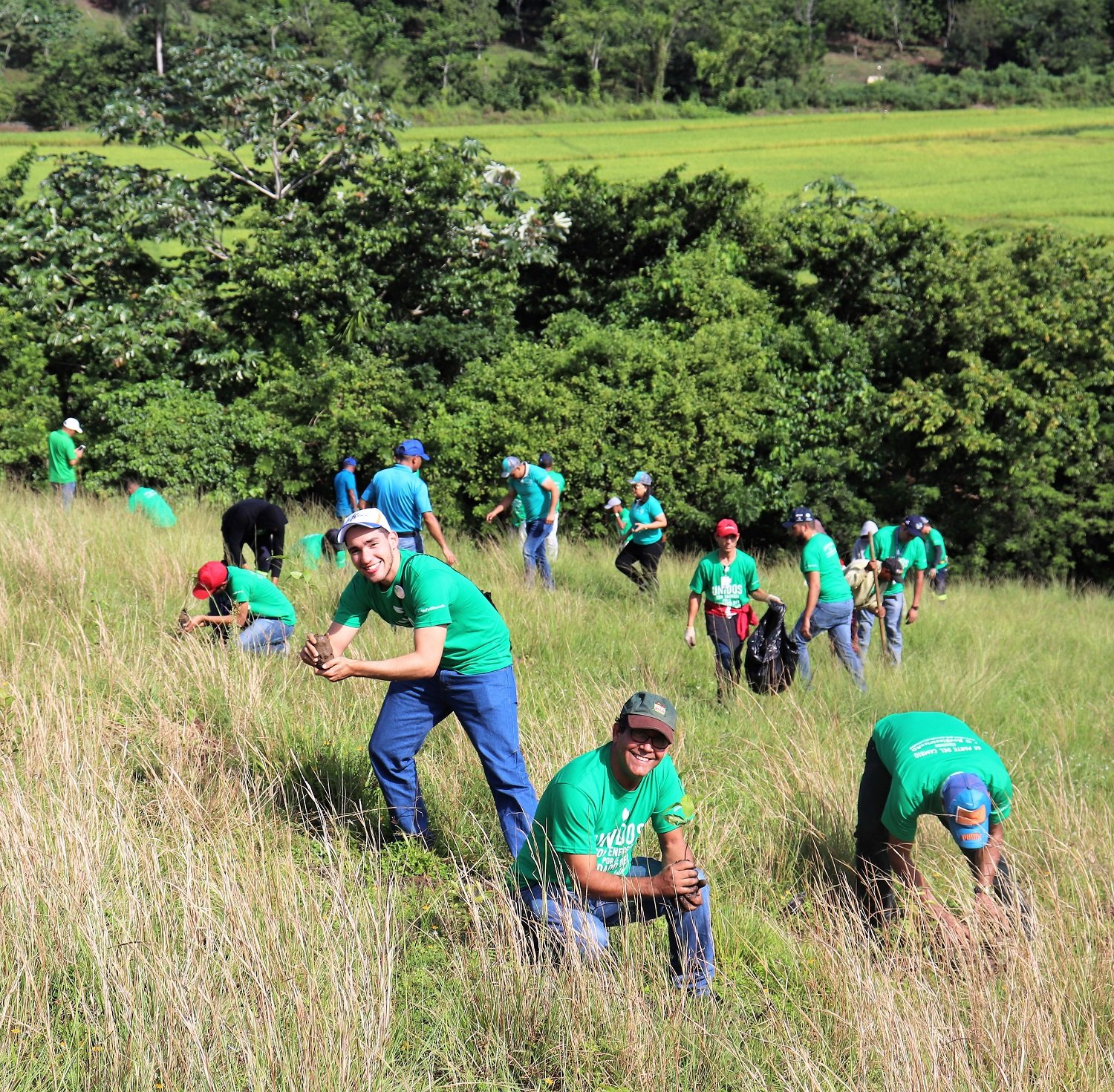 Jornada de Reforestación