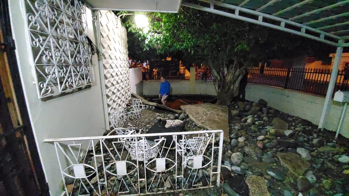 E1763AE9 D1AF 4458 8B36 335B3279A323