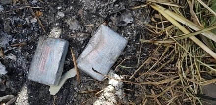 IMG 0540 e1575417555562