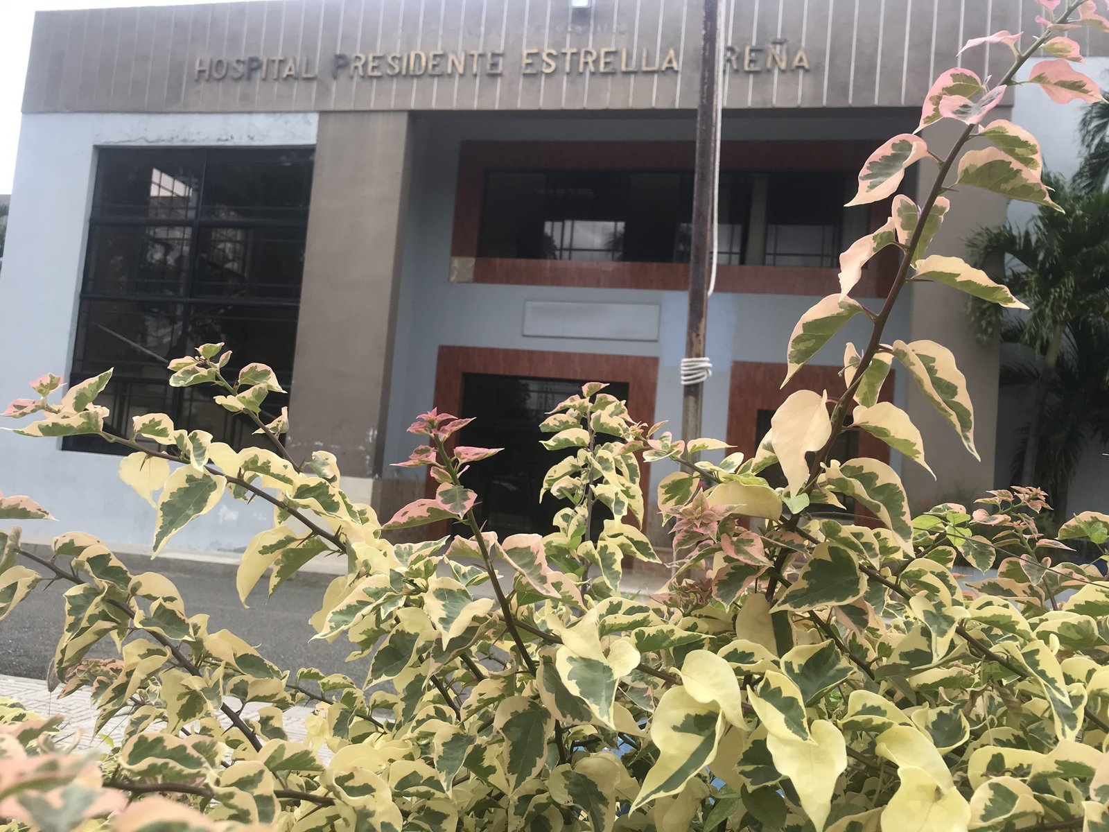 883DAE4C B84A 460B A1E8 2BF97E4187A0 scaled