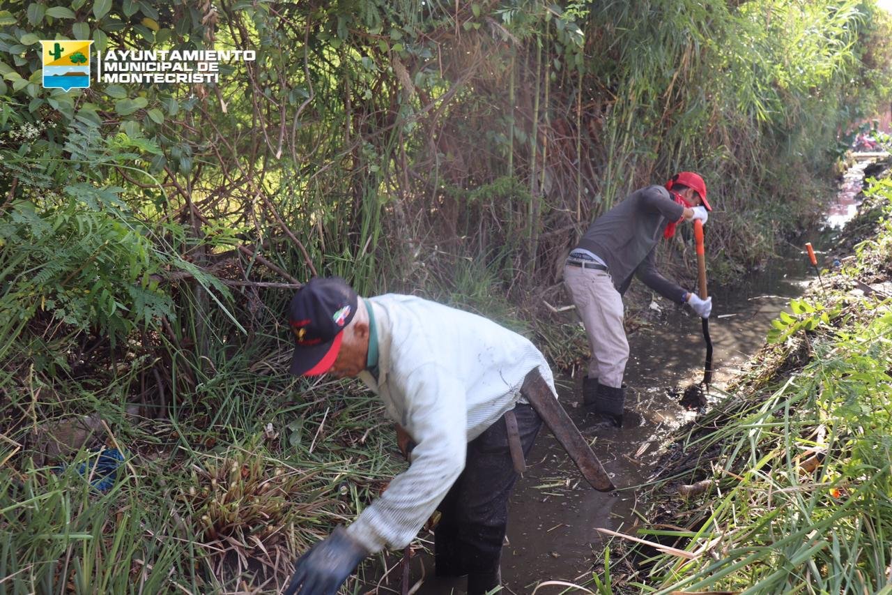 WhatsApp Image 2020 05 11 at 9.46.50 PM