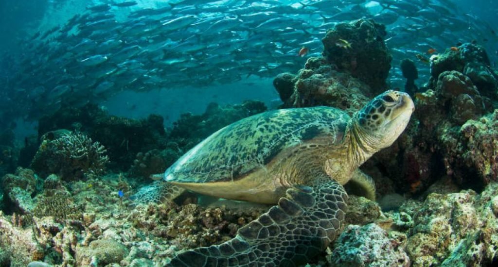 WhatsApp Image 2020 06 15 at 7.41.40 PM