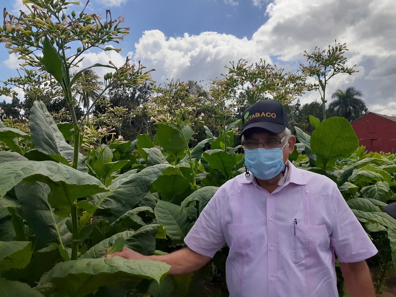 WhatsApp Image 2021 04 13 at 7.31.43 AM