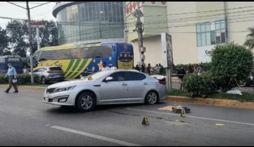 E8DD3D10 F6BC 4C48 B62E 01D24DBDD098